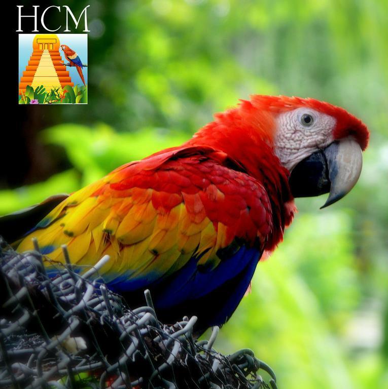 Hotel Ciudad Blanca Copan ภายนอก รูปภาพ